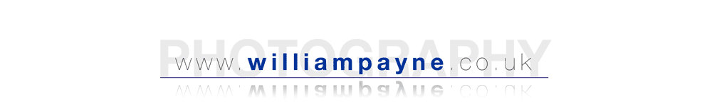 William Payne Online