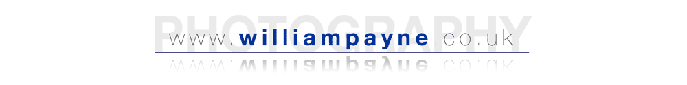 William Payne Online